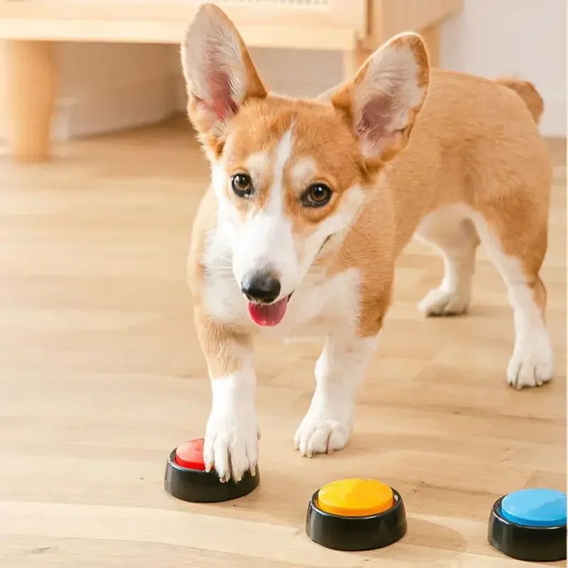 2026 Recordable Talking Pet Bu - Event Party Box recensie en prijs