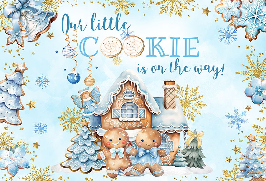 Christmas Gingerbread Baby Sho - Dessert Table Backdrop recensie en prijs